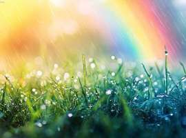 总生存期达26.5个月！肺癌靶向治疗耐药后，“艾托组合抗体”助力患者长生存