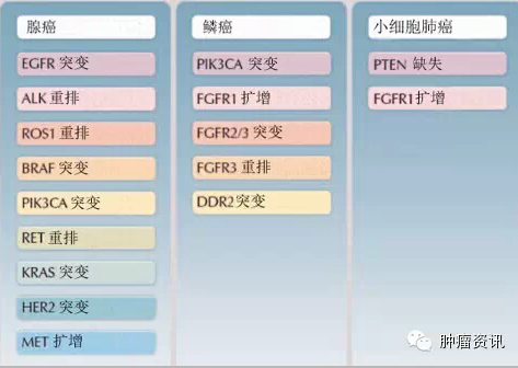 不同病理类型的肺癌靶点.jpg
