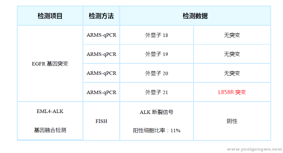 EGFR 检测