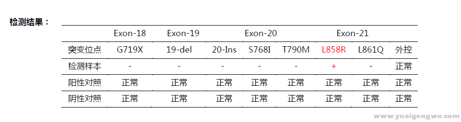 T790无突变