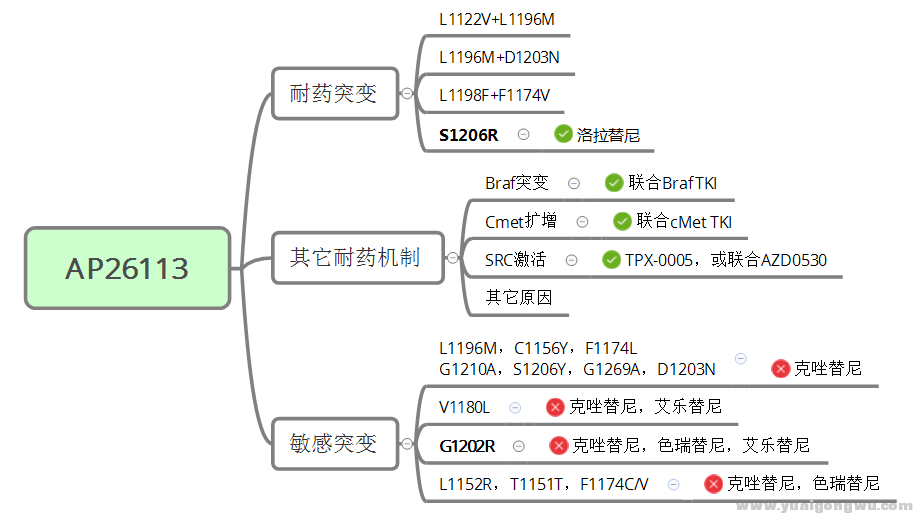 26113树状图.png