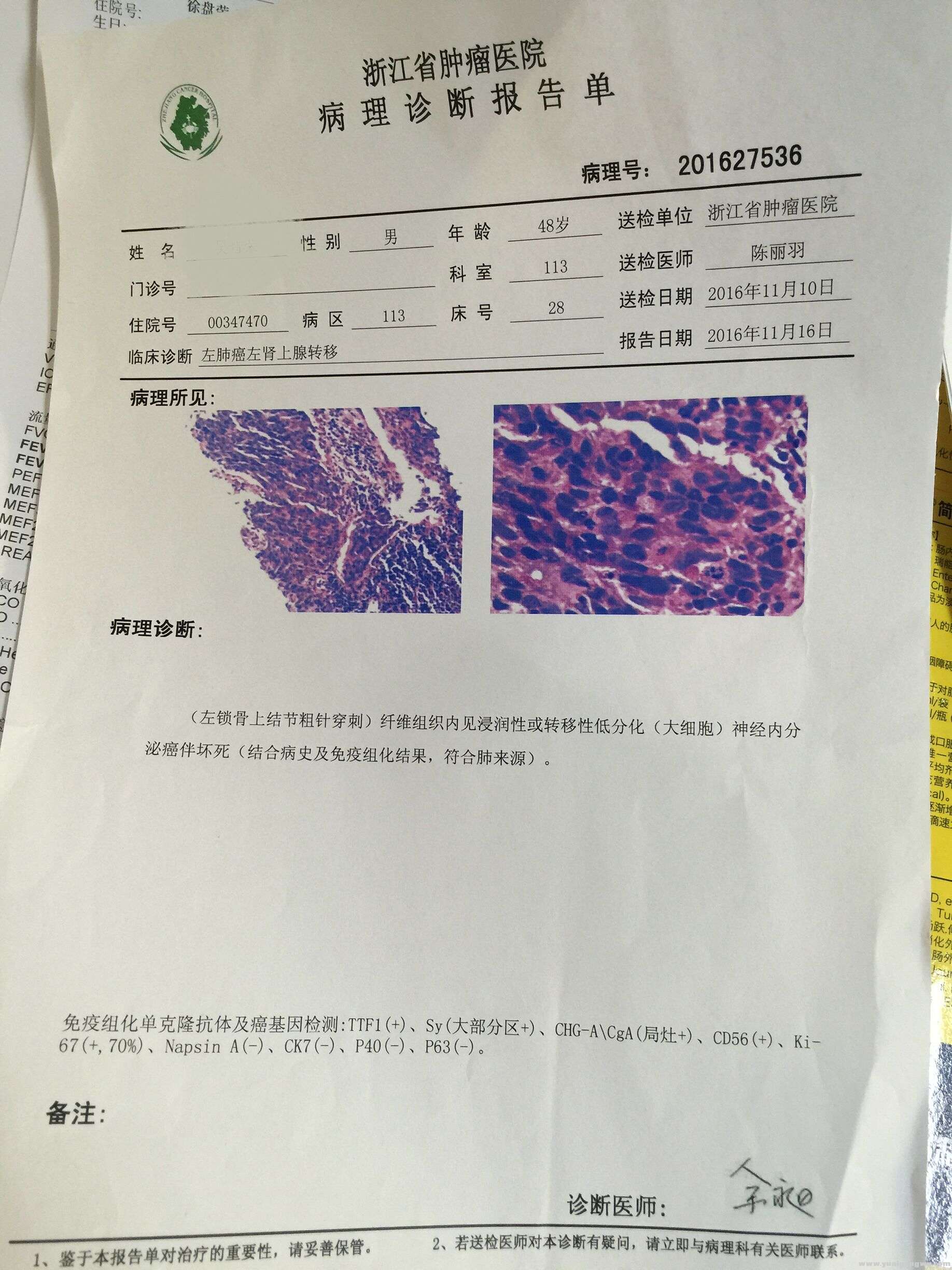 病理报告单2