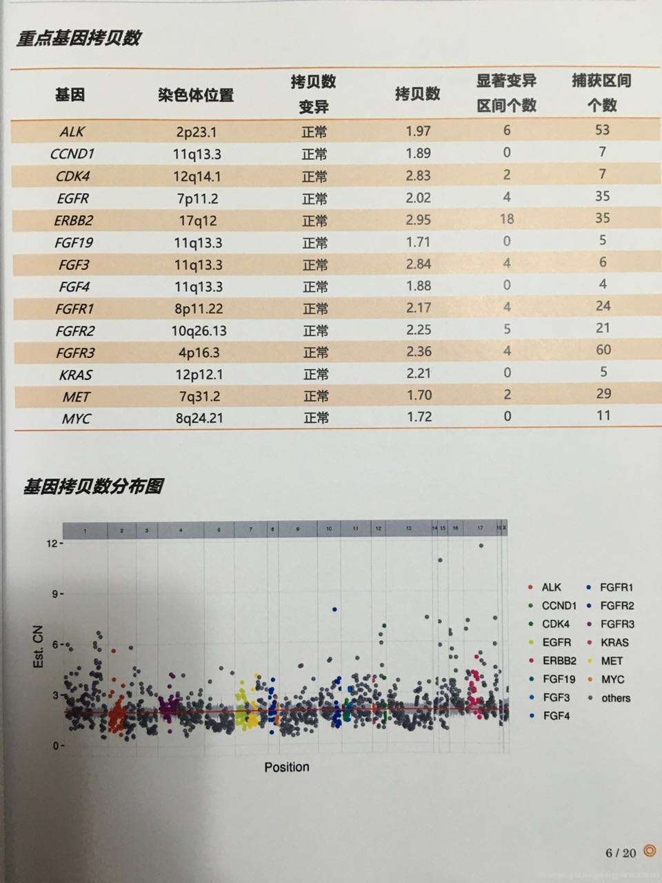 基因检测e.jpg