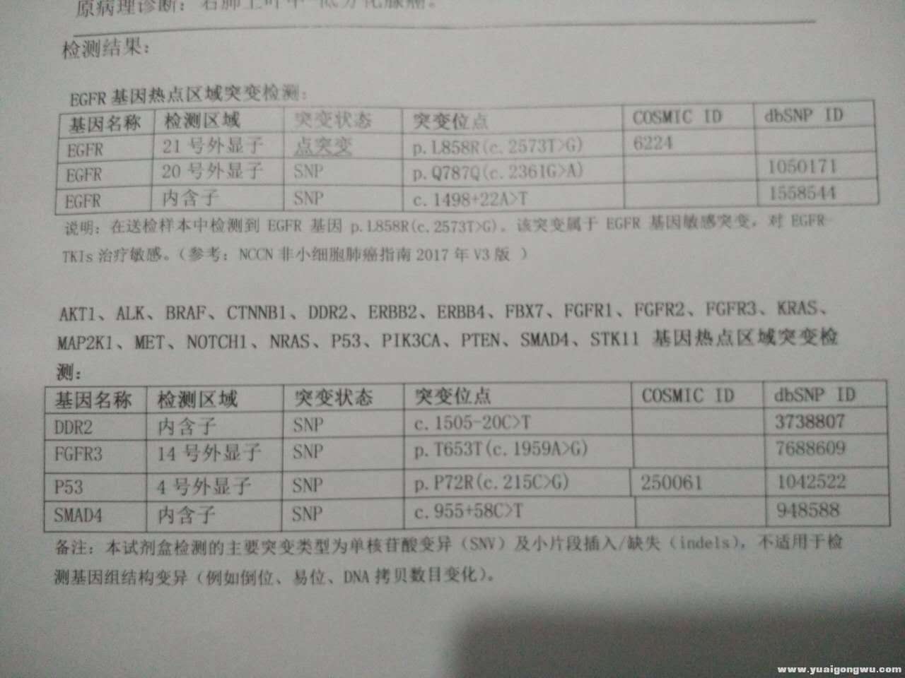 QQ图片20170216203119.jpg