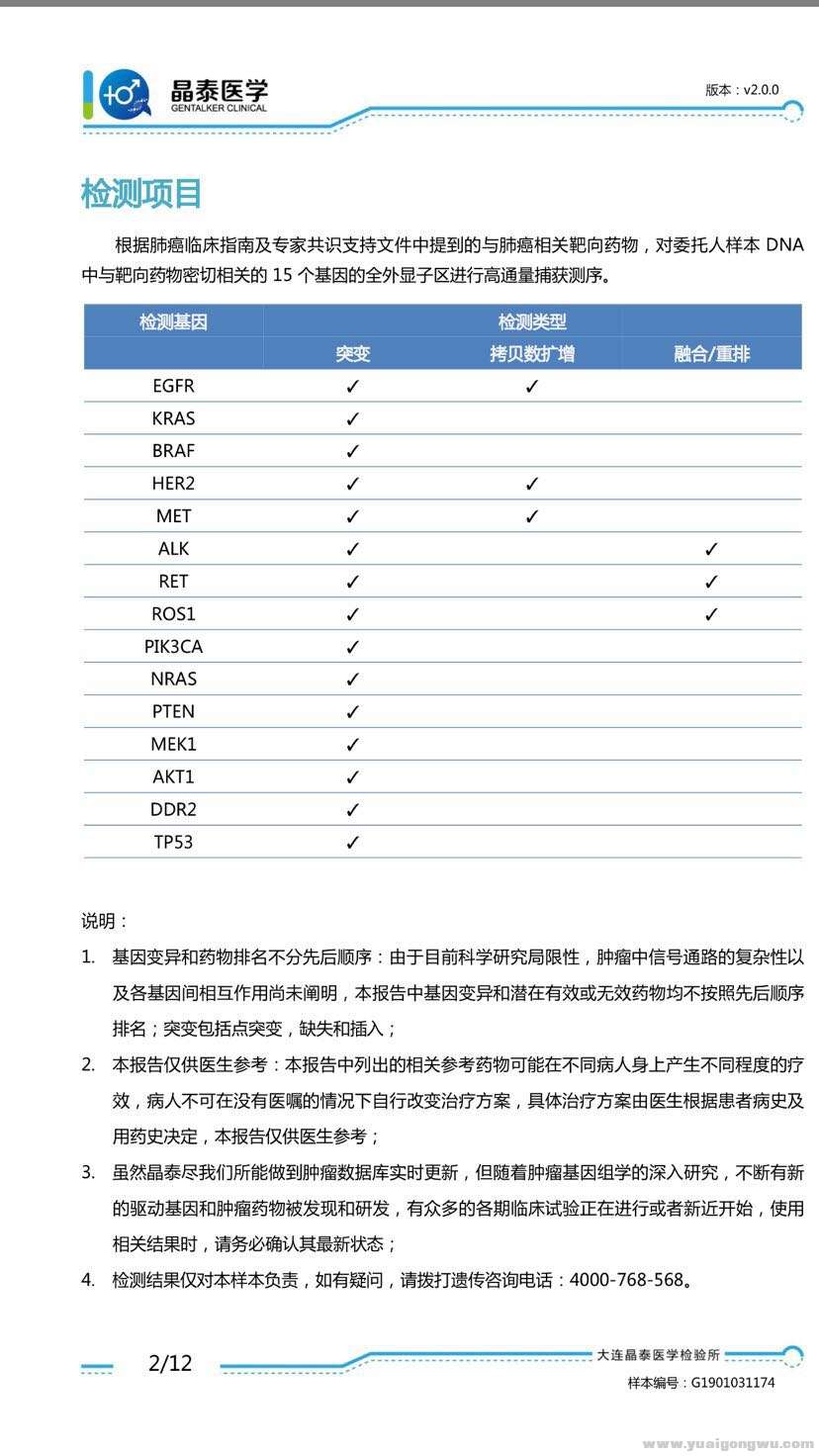 基因检测报告