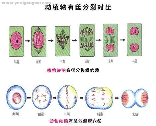 微信图片_20201016173738.jpg